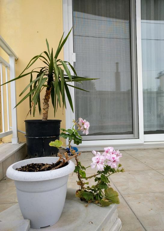 Dimitris Luxury Apartment Keramoti  Exterior photo